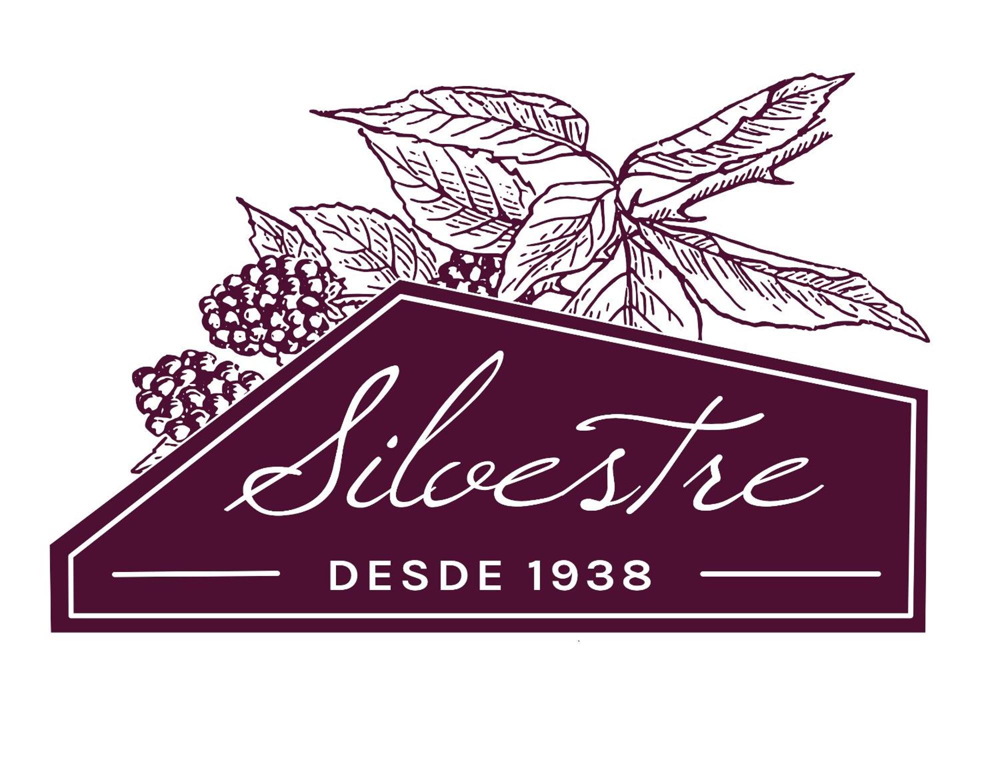 Alojamento Funchal - Silvestre House Extérieur photo