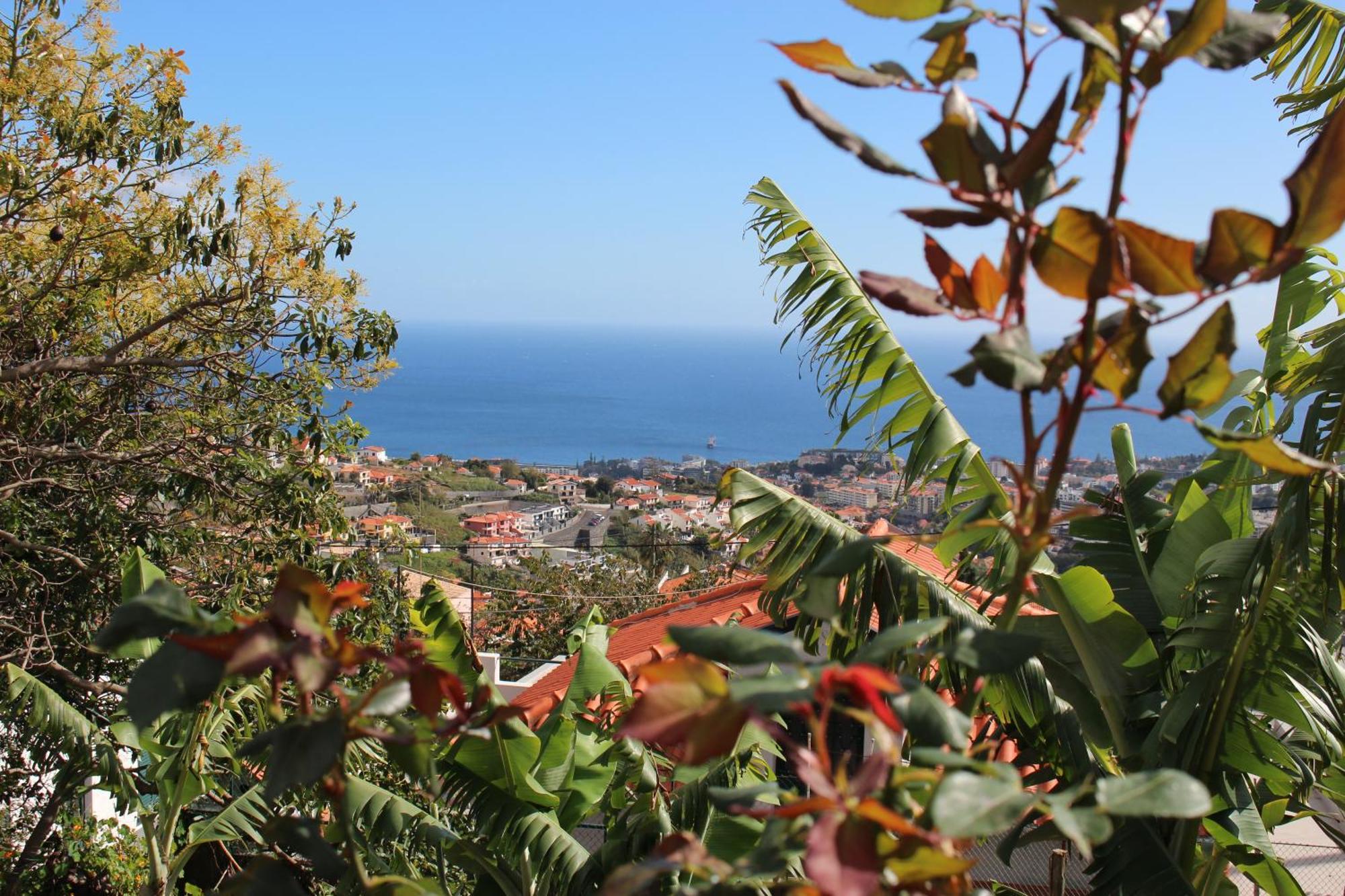 Alojamento Funchal - Silvestre House Extérieur photo